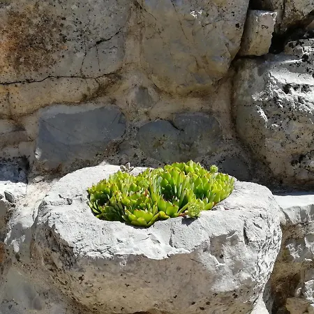 Brotnice Maison d'hôtes Cavtat