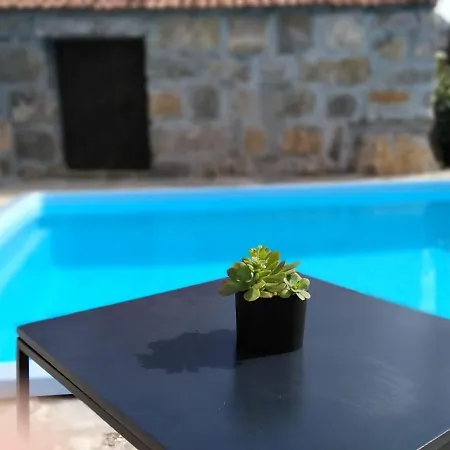 Brotnice קאבטאט